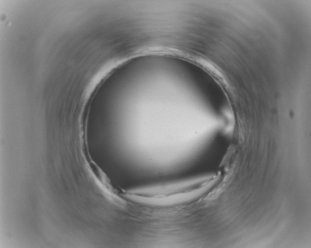 X0000070411430200606302025