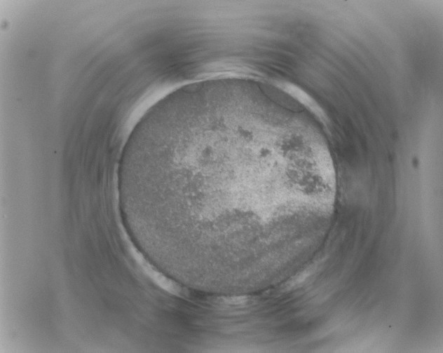 X0000070411431200606302025