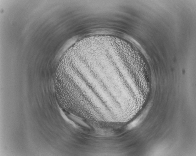 X0000070411433200606302025