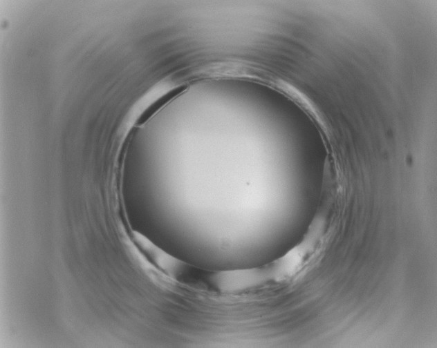 X0000070411434200606302025