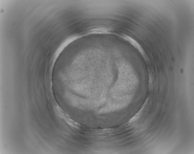 X0000070411435200606302025