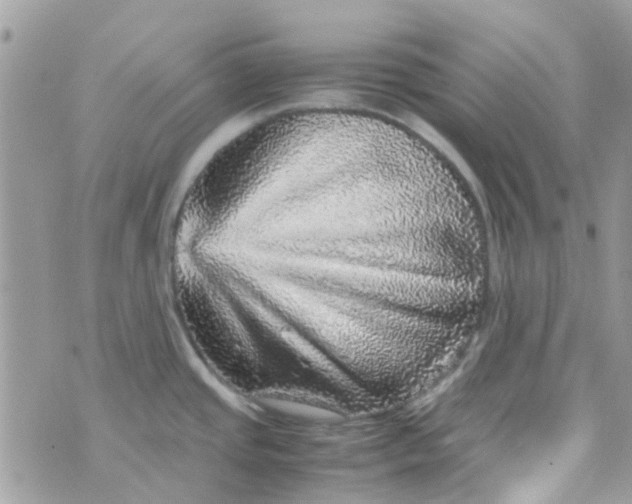 X0000070411437200606302025