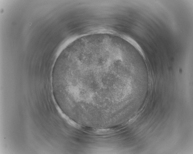 X0000070411439200606302025