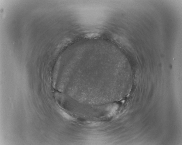 X0000070411441200606302024