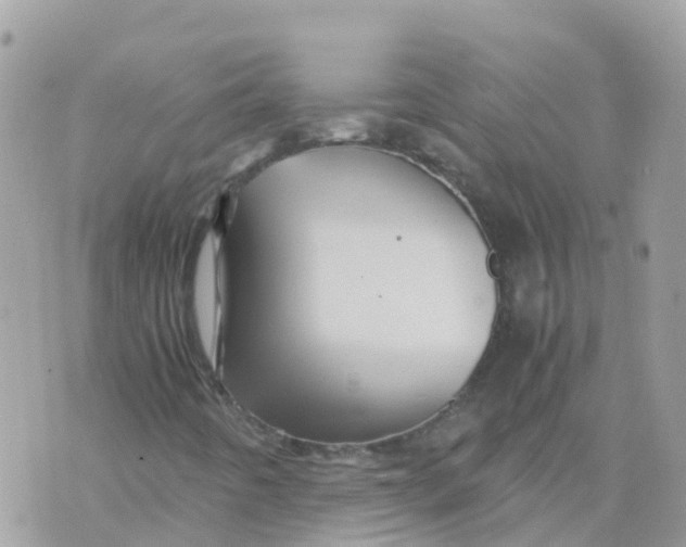 X0000070411442200606302024