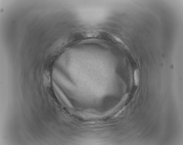 X0000070411443200606302024