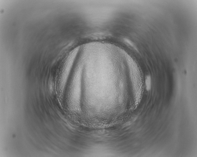 X0000070411444200606302024