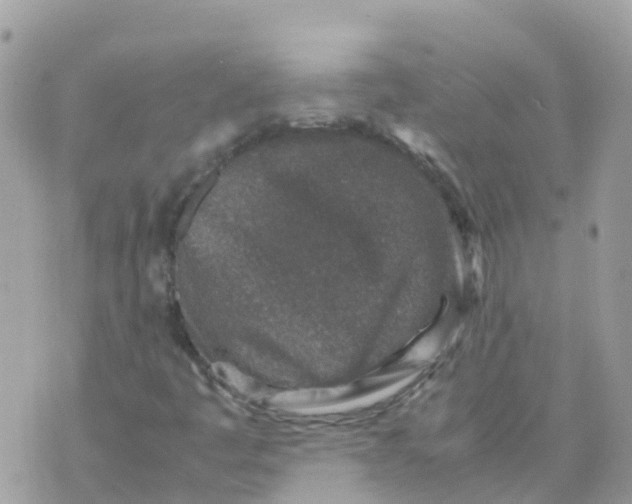 X0000070411445200606302024