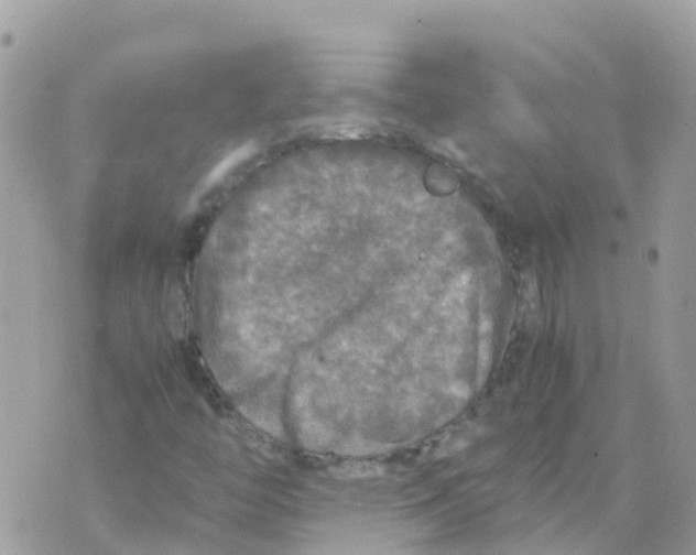 X0000070411446200606302024