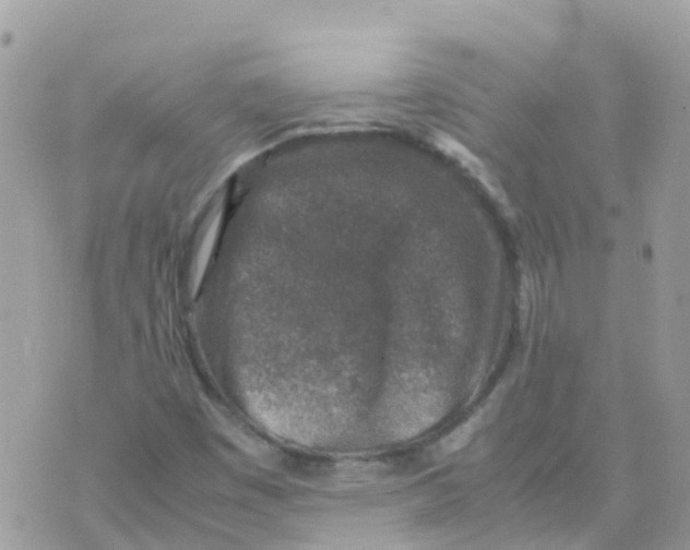 X0000070411449200606302024