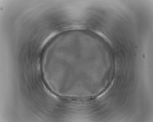 X0000070411450200606302024