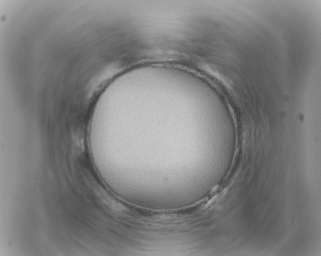 X0000070411451200606302024