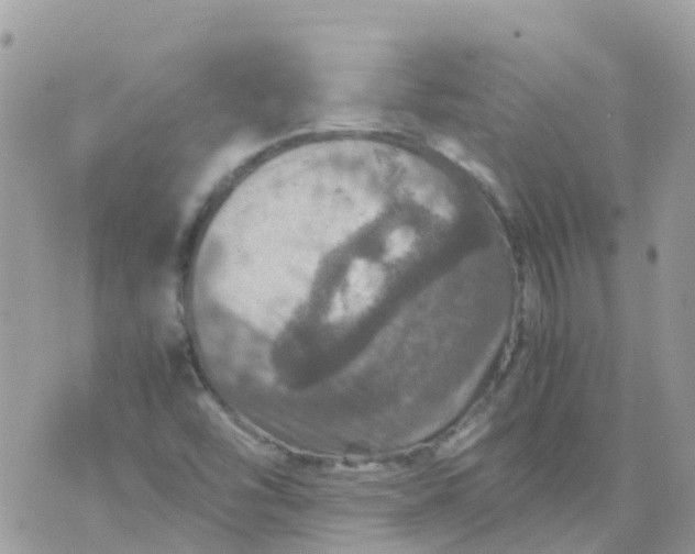 X0000070411454200606302024