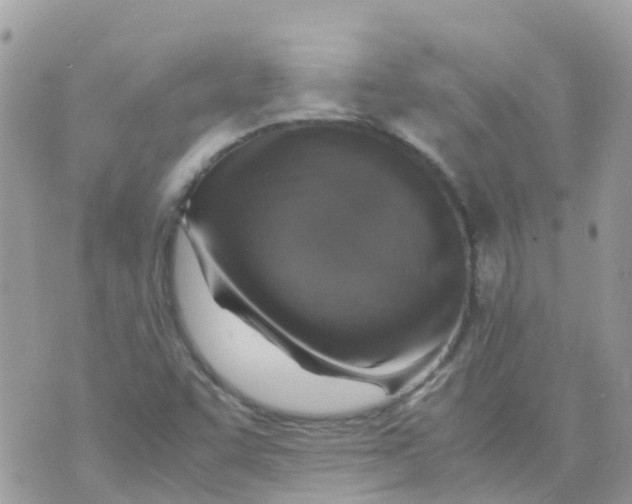 X0000070411455200606302024