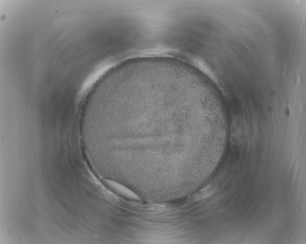 X0000070411456200606302024