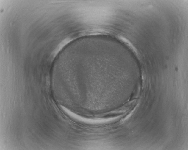 X0000070411457200606302024