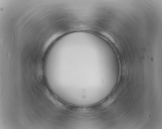 X0000070411458200606302024