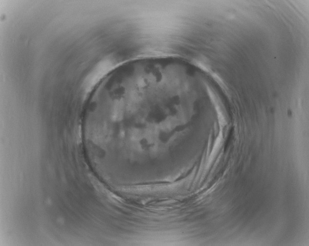 X0000070411459200606302024