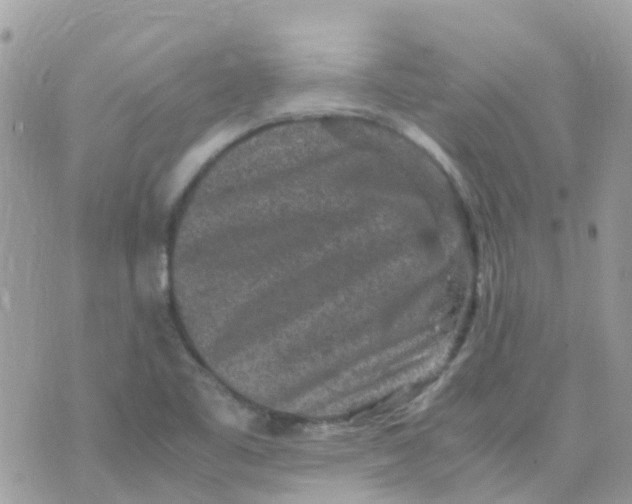 X0000070411461200606302024