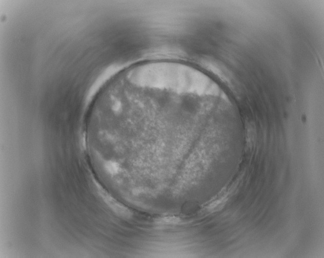 X0000070411462200606302024