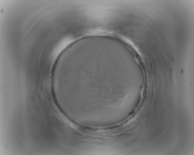 X0000070411463200606302024