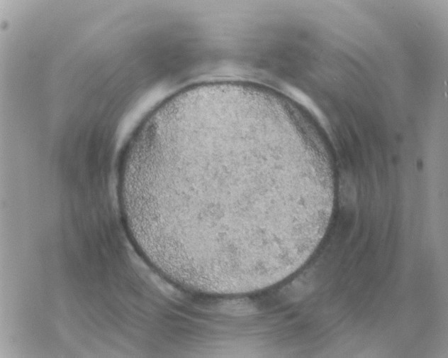 X0000070411464200606302024