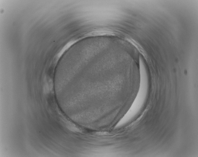 X0000070411465200606302024