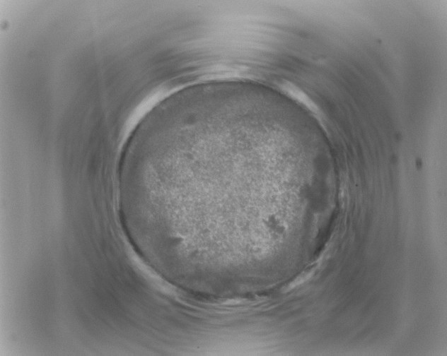 X0000070411467200606302024