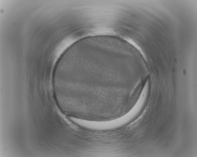 X0000070411469200606302024