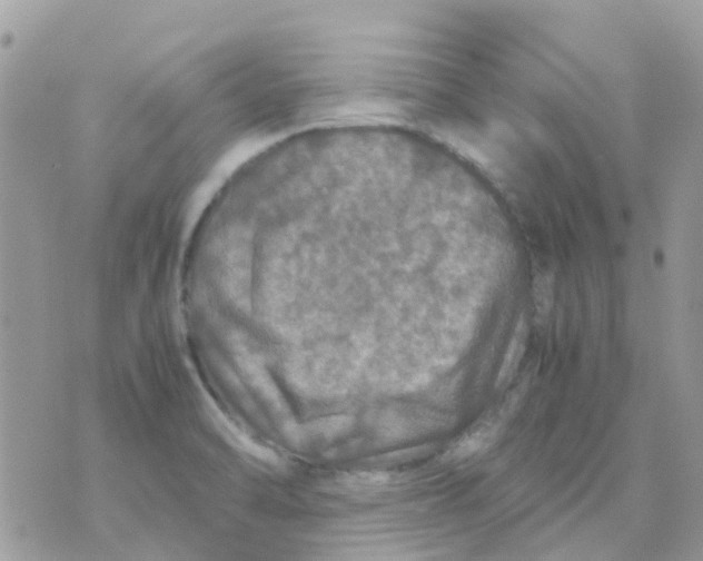 X0000070411470200606302024