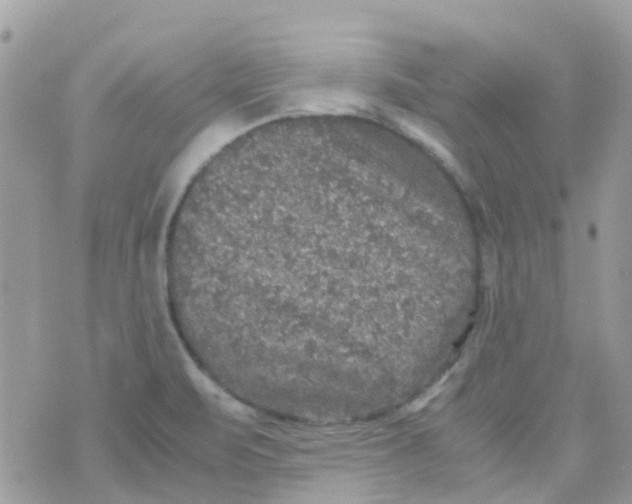 X0000070411471200606302024