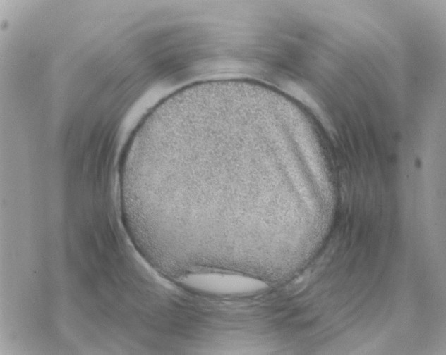 X0000070411472200606302024