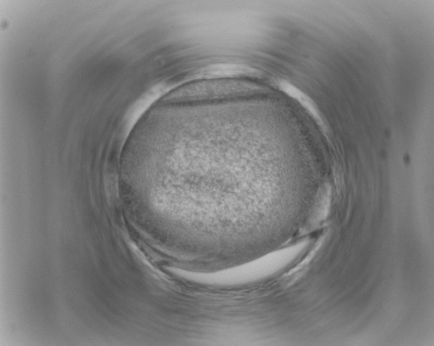 X0000070411473200606302024