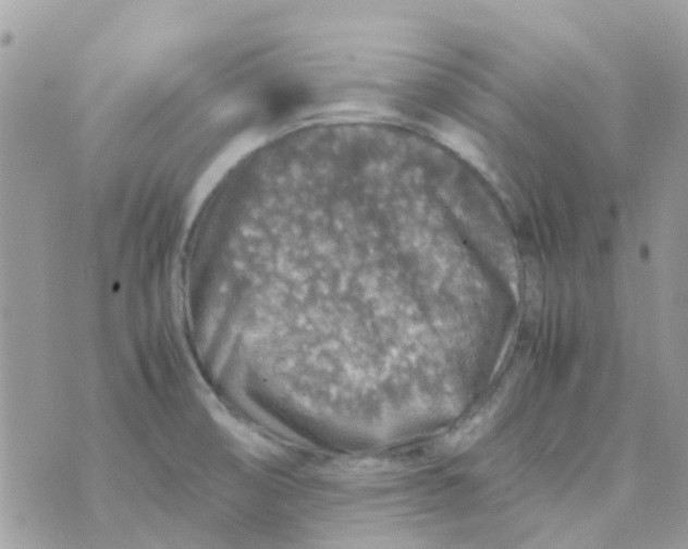 X0000070411474200606302024