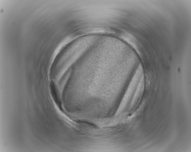 X0000070411475200606302024