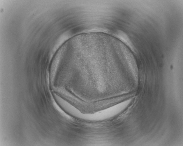 X0000070411476200606302024