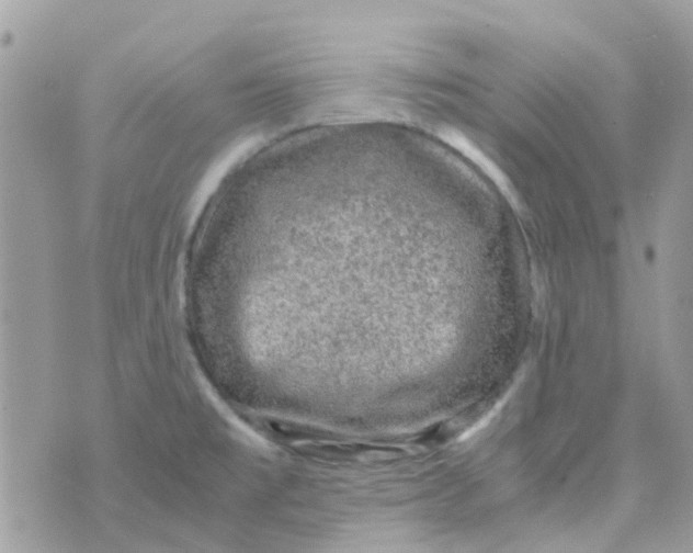 X0000070411477200606302024