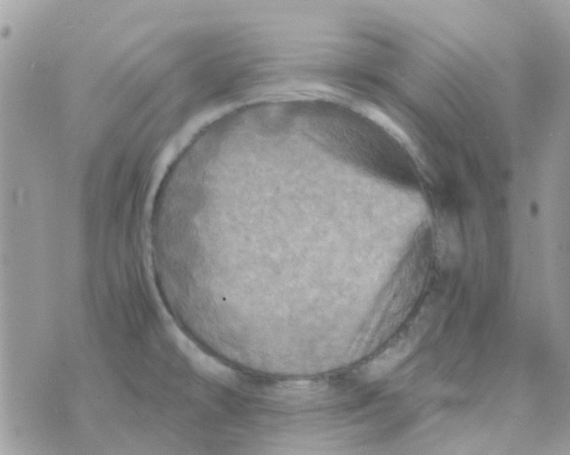 X0000070411478200606302024