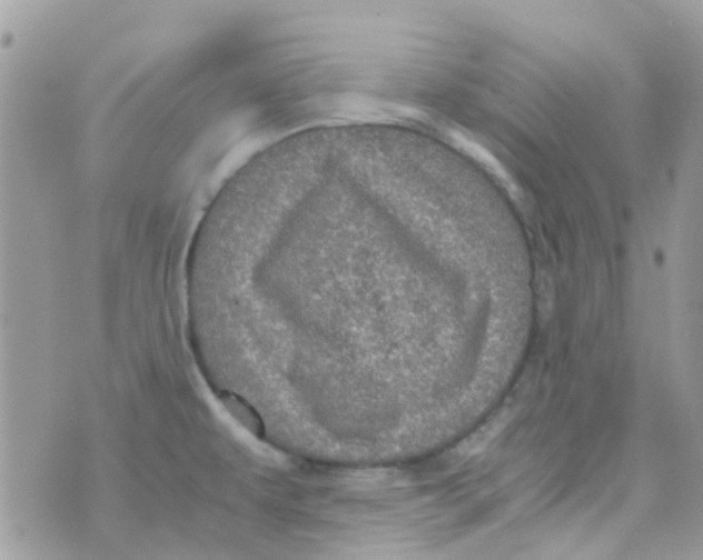 X0000070411479200606302024