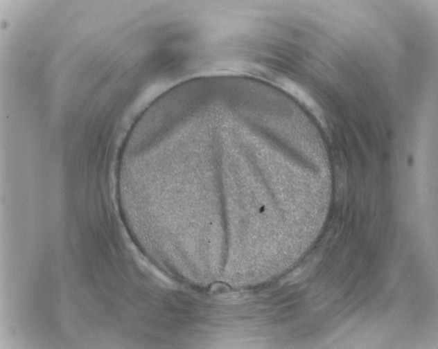 X0000070411480200606302024