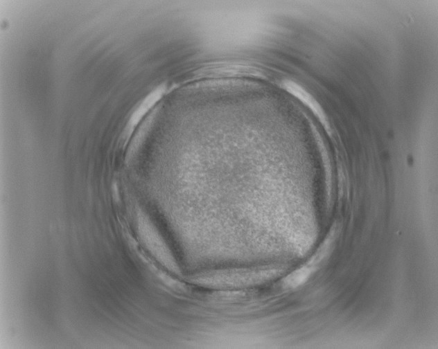 X0000070411481200606302024