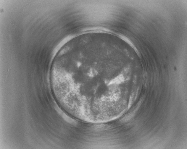 X0000070411482200606302024