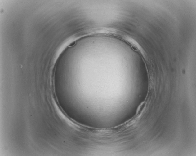 X0000070411483200606302024