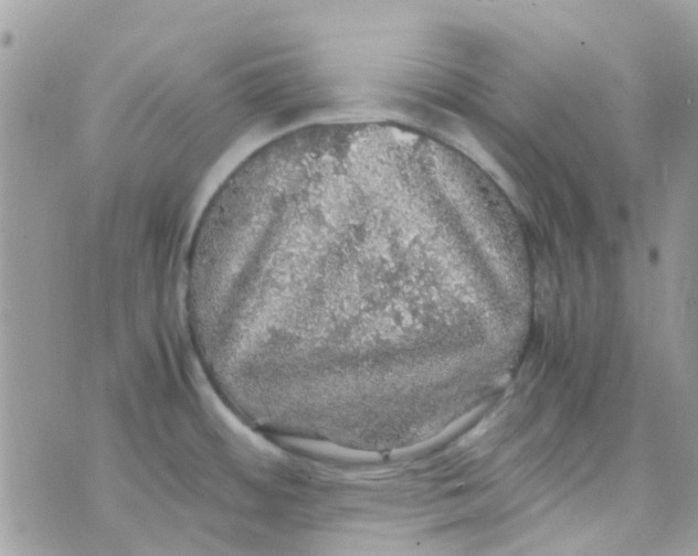 X0000070411484200606302024