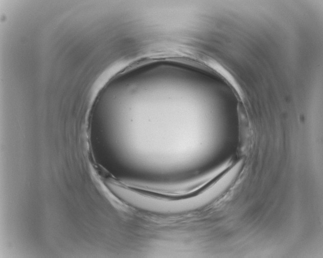 X0000070411485200606302024