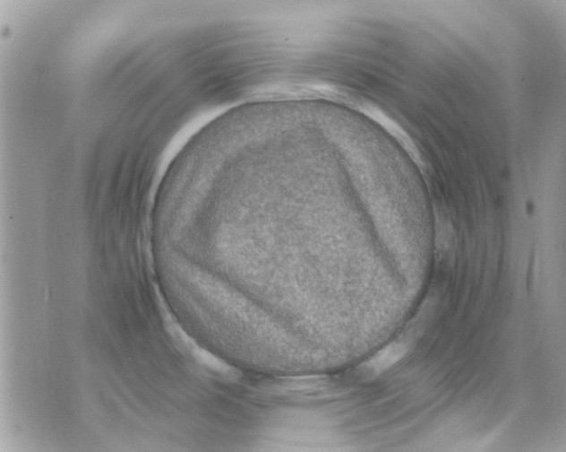 X0000070411486200606302024