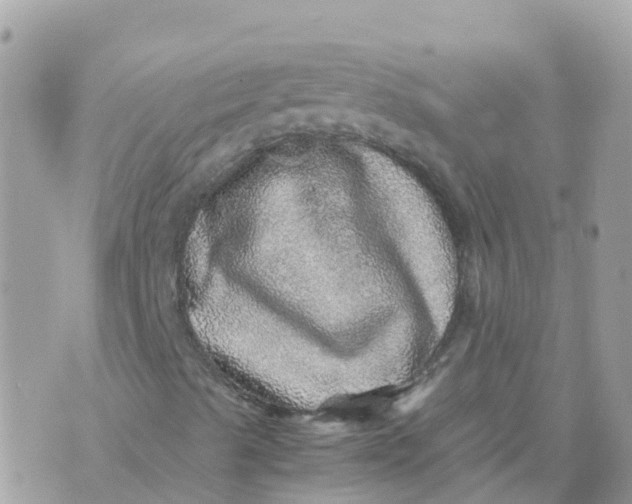 X0000070411489200606302023