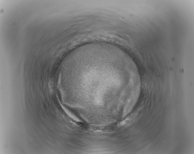 X0000070411490200606302023