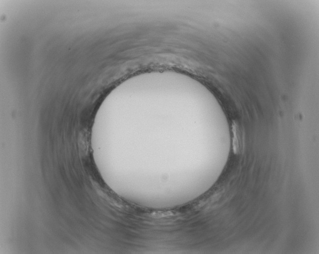 X0000070411491200606302023