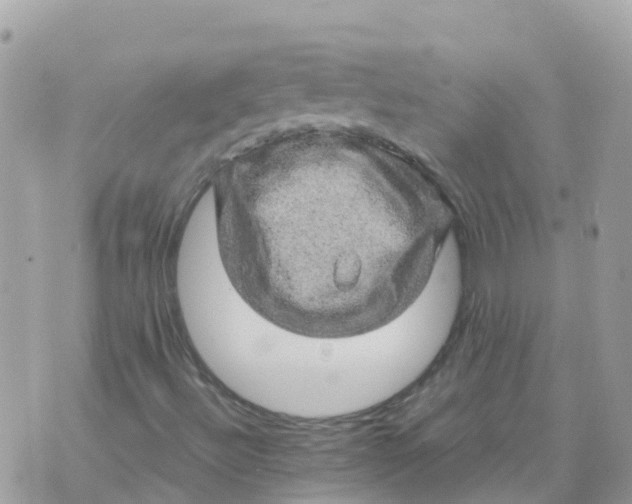 X0000070411492200606302023